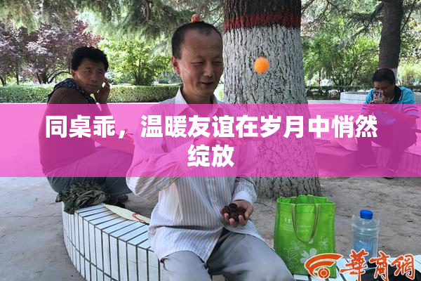 同桌乖，温暖友谊在岁月中悄然绽放