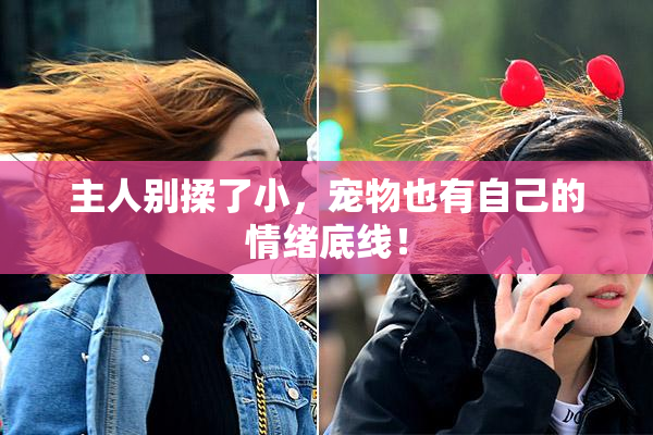 主人别揉了小，宠物也有自己的情绪底线！