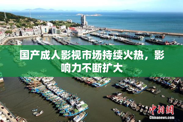 国产成人影视市场持续火热，影响力不断扩大