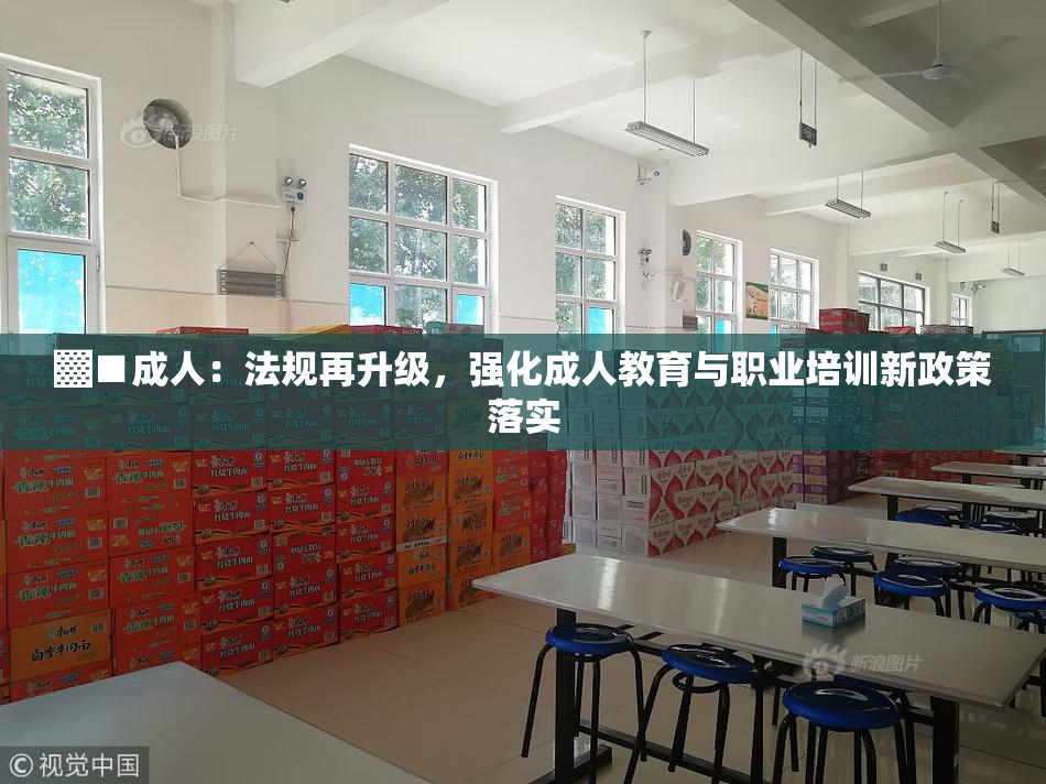 ▓■成人：法规再升级，强化成人教育与职业培训新政策落实