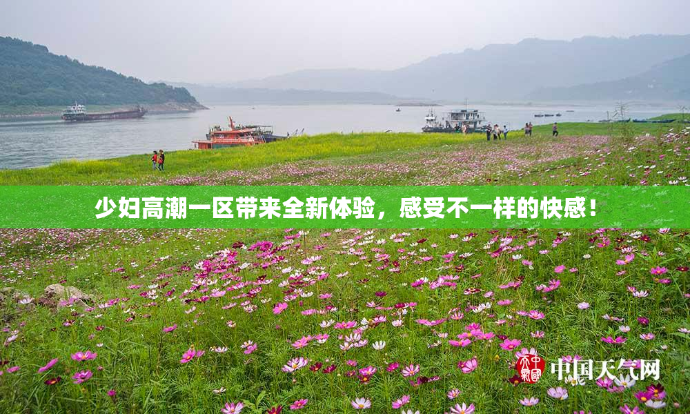 少妇高潮一区带来全新体验，感受不一样的快感！