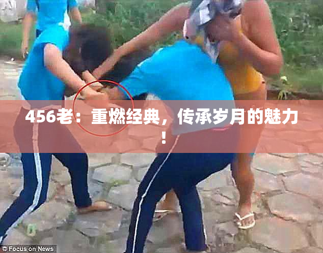 456老：重燃经典，传承岁月的魅力！