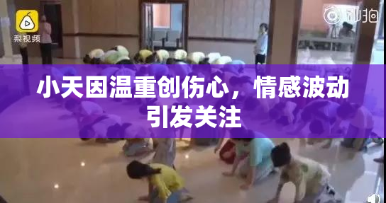 小天因温重创伤心，情感波动引发关注