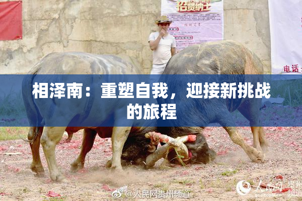 相泽南：重塑自我，迎接新挑战的旅程