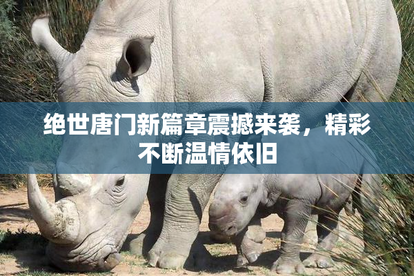 绝世唐门新篇章震撼来袭，精彩不断温情依旧