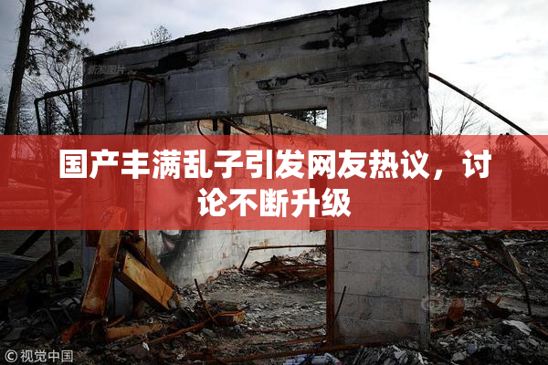 国产丰满乱子引发网友热议，讨论不断升级