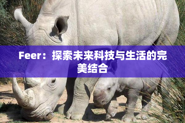 Feer：探索未来科技与生活的完美结合