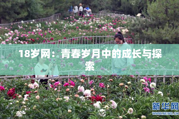 18岁网：青春岁月中的成长与探索