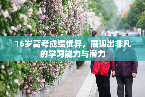 16岁高考成绩优异，展现出非凡的学习能力与潜力