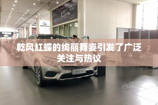乾风红蝶的绚丽舞姿引发了广泛关注与热议