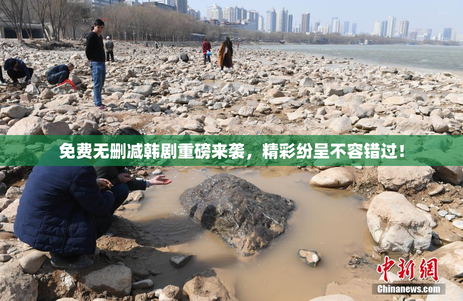 免费无删减韩剧重磅来袭，精彩纷呈不容错过！