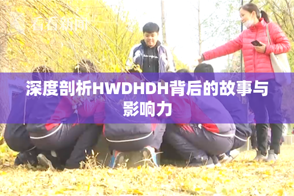 深度剖析HWDHDH背后的故事与影响力
