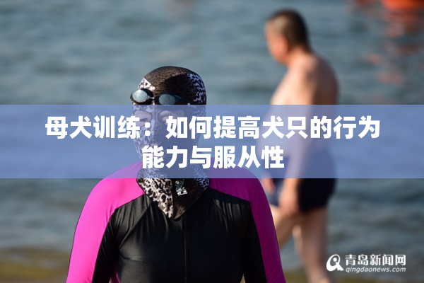 母犬训练：如何提高犬只的行为能力与服从性