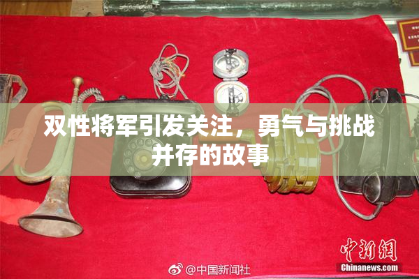 双性将军引发关注，勇气与挑战并存的故事
