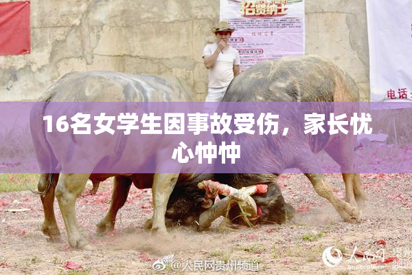 16名女学生因事故受伤，家长忧心忡忡