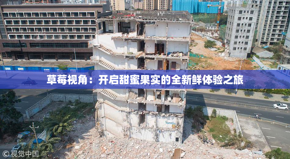 草莓视角：开启甜蜜果实的全新鲜体验之旅