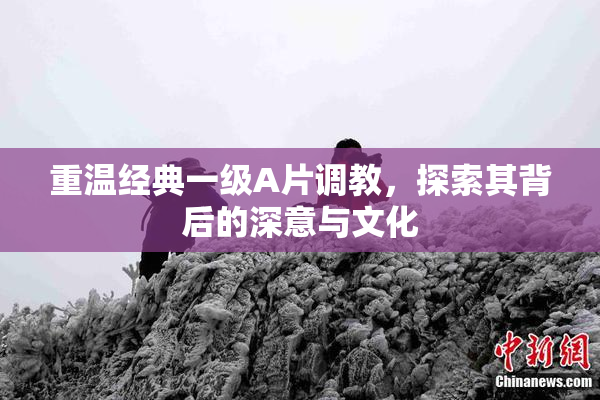 重温经典一级A片调教，探索其背后的深意与文化