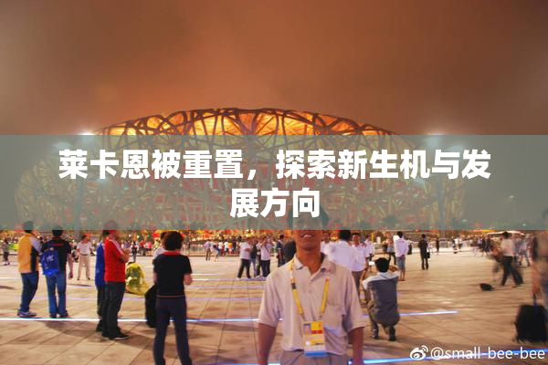 莱卡恩被重置，探索新生机与发展方向
