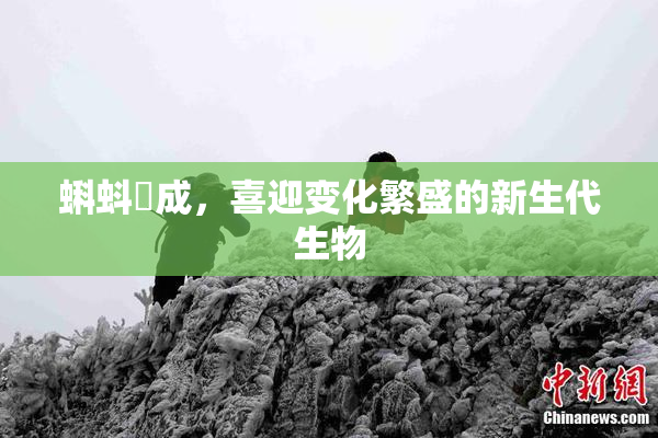 蝌蚪窉成，喜迎变化繁盛的新生代生物