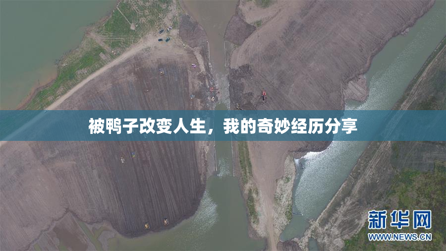 被鸭子改变人生，我的奇妙经历分享