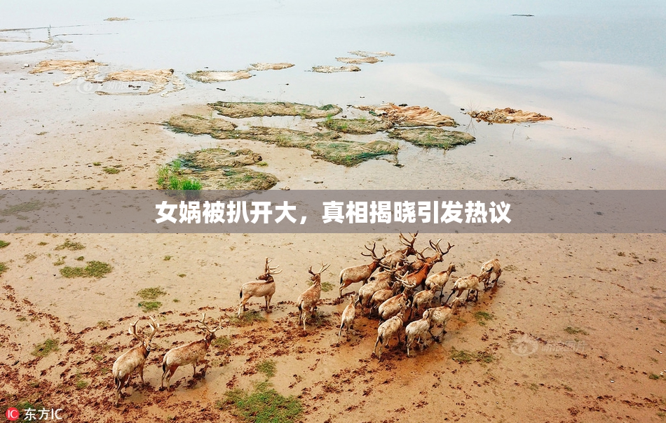 女娲被扒开大，真相揭晓引发热议