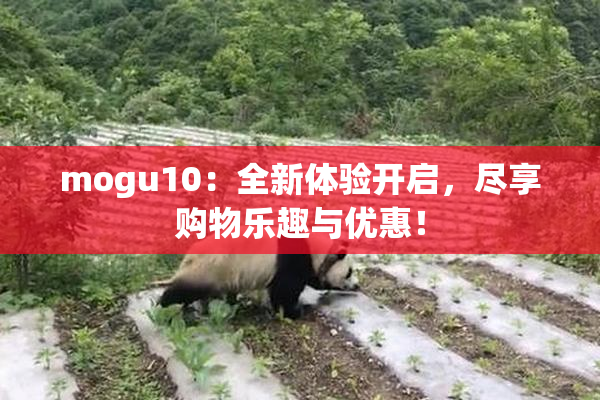 mogu10：全新体验开启，尽享购物乐趣与优惠！