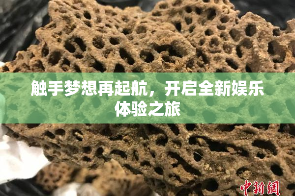 触手梦想再起航，开启全新娱乐体验之旅