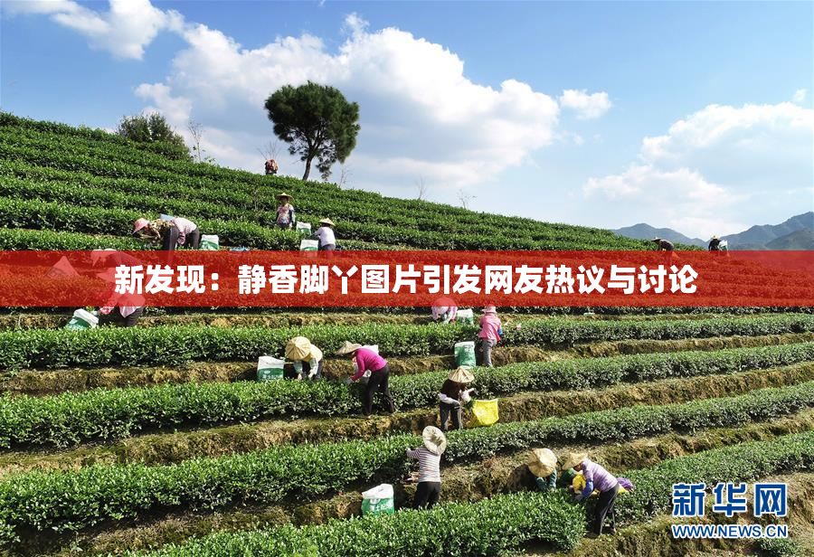 新发现：静香脚丫图片引发网友热议与讨论