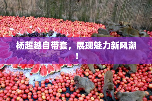 杨超越自带套，展现魅力新风潮！