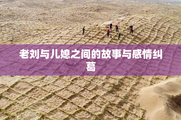 老刘与儿媳之间的故事与感情纠葛