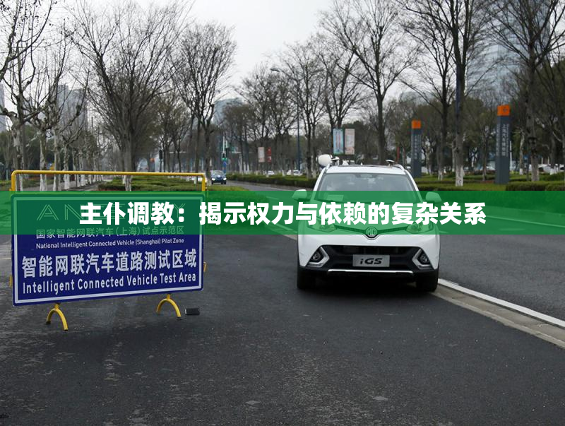 主仆调教：揭示权力与依赖的复杂关系