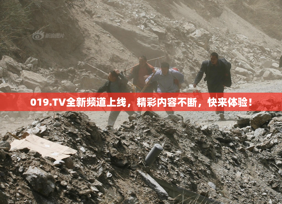 019.TV全新频道上线，精彩内容不断，快来体验！