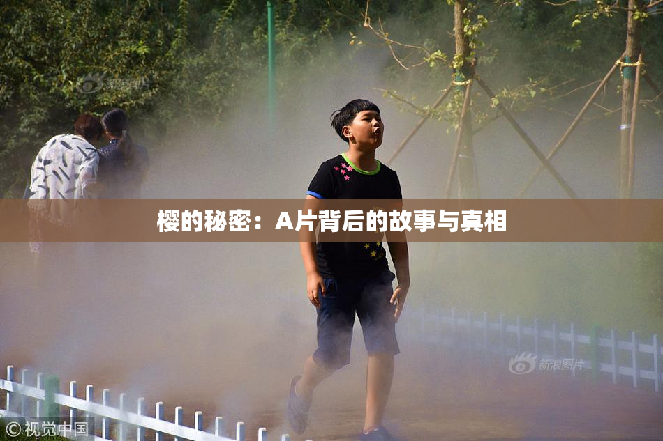 樱的秘密：A片背后的故事与真相