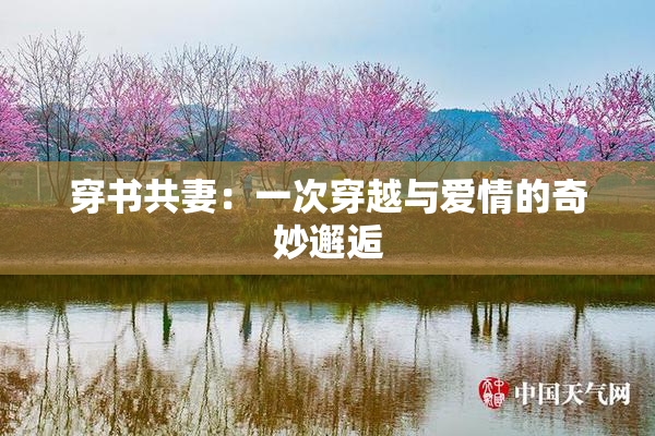 穿书共妻：一次穿越与爱情的奇妙邂逅