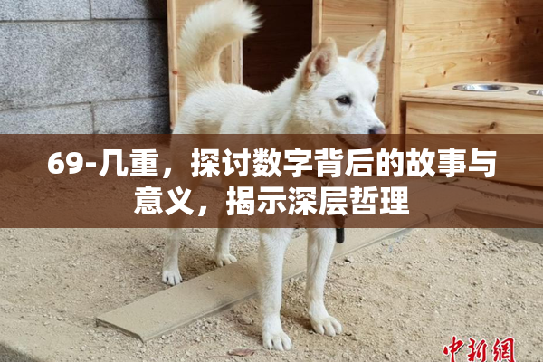 69-几重，探讨数字背后的故事与意义，揭示深层哲理