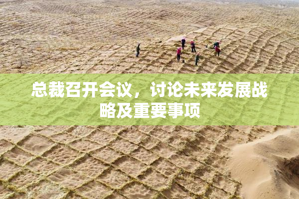 总裁召开会议，讨论未来发展战略及重要事项