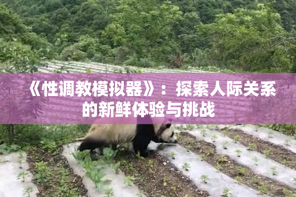 《性调教模拟器》：探索人际关系的新鲜体验与挑战