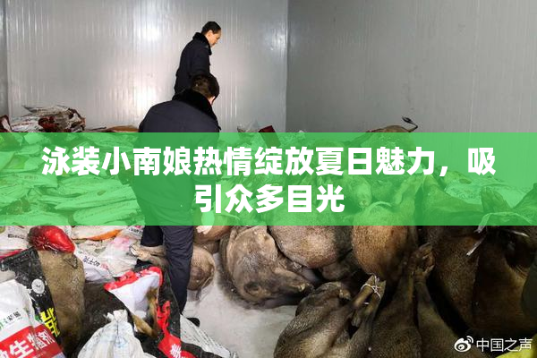 泳装小南娘热情绽放夏日魅力，吸引众多目光