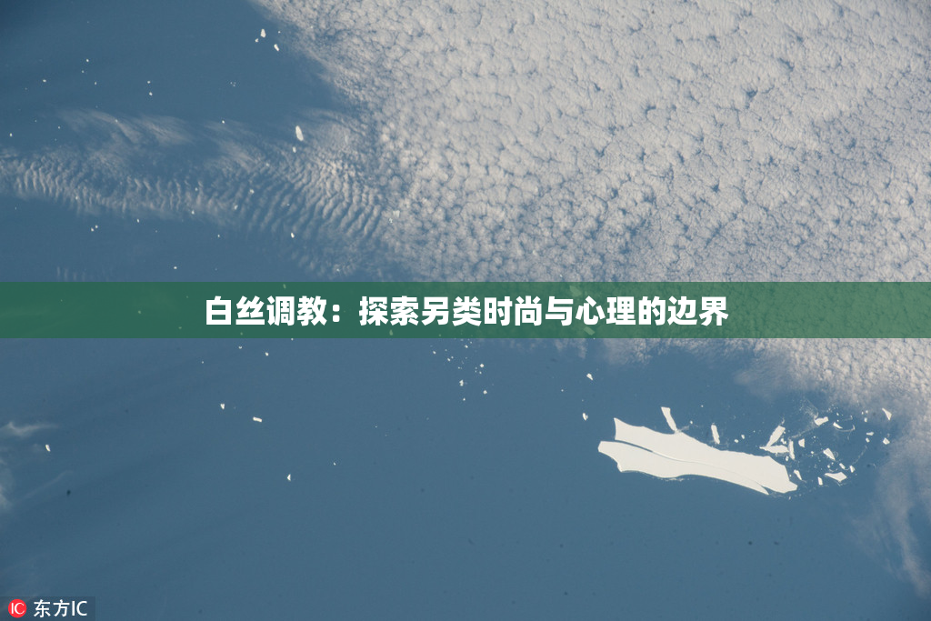 白丝调教：探索另类时尚与心理的边界