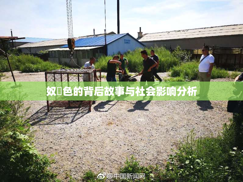 奴隷色的背后故事与社会影响分析