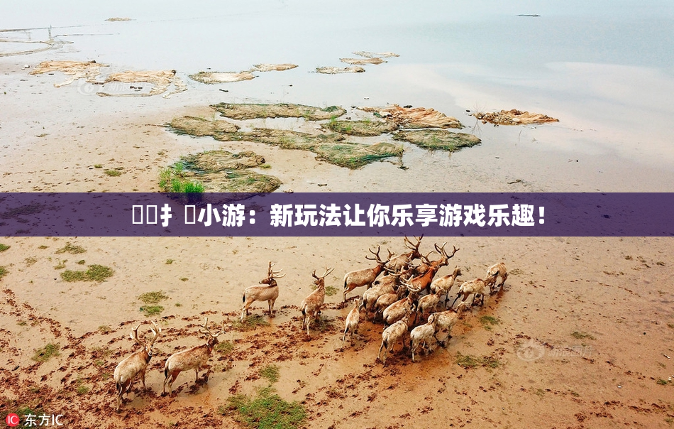 喿喿扌畐小游：新玩法让你乐享游戏乐趣！