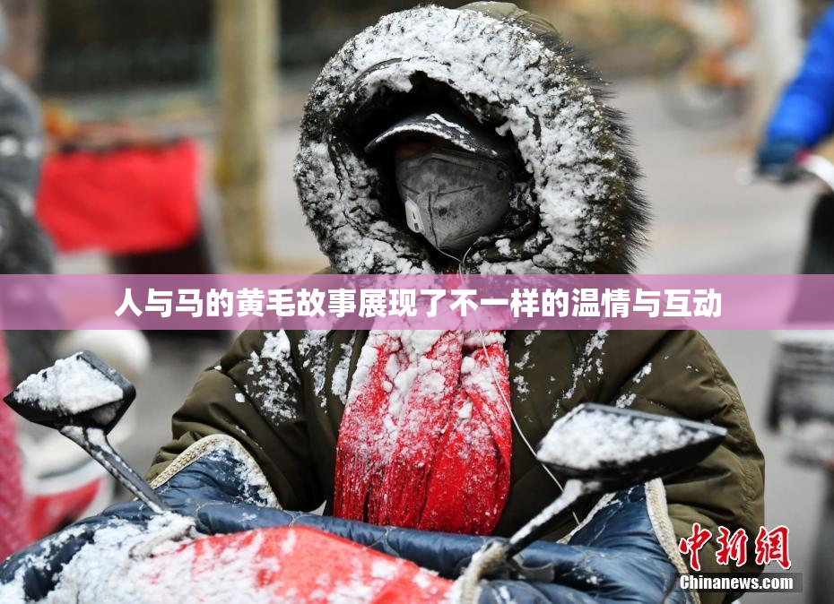 人与马的黄毛故事展现了不一样的温情与互动