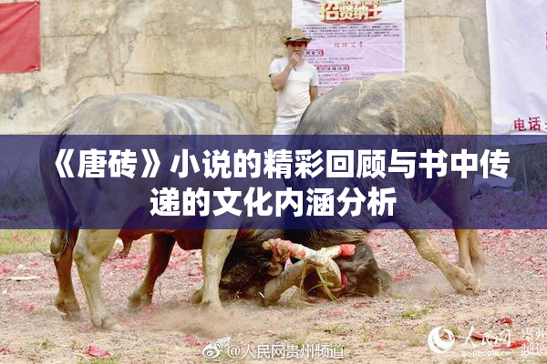 《唐砖》小说的精彩回顾与书中传递的文化内涵分析