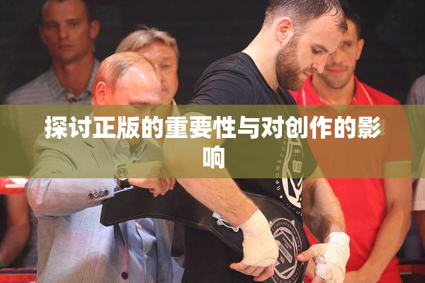 探讨正版的重要性与对创作的影响
