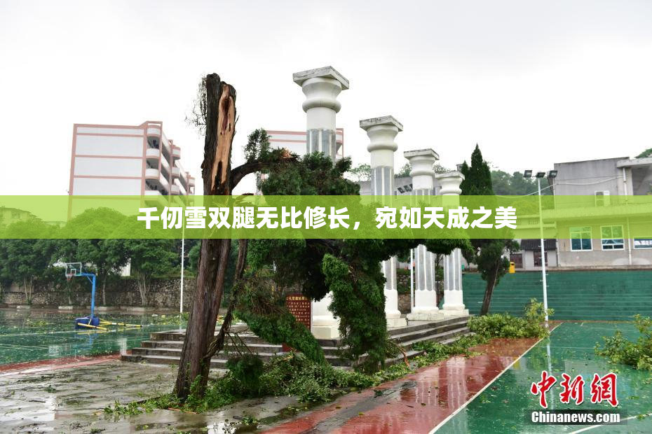 千仞雪双腿无比修长，宛如天成之美