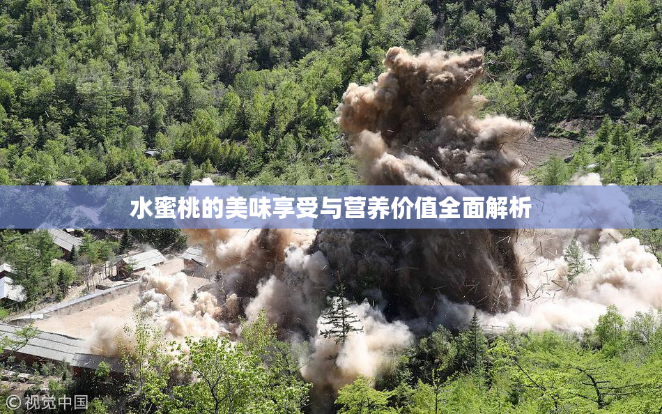 水蜜桃的美味享受与营养价值全面解析