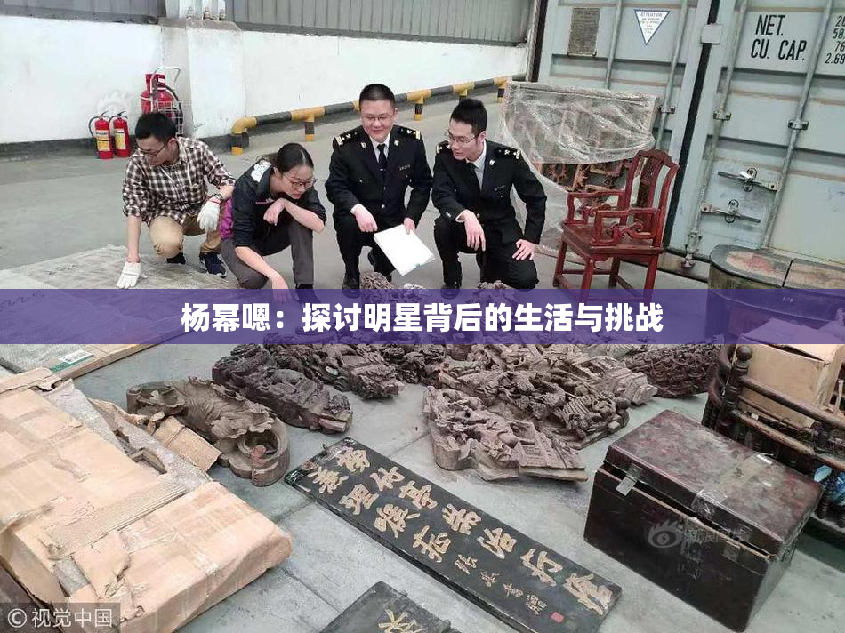 杨幂嗯：探讨明星背后的生活与挑战