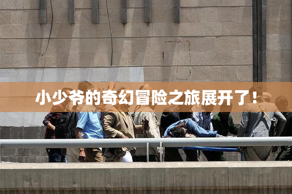 小少爷的奇幻冒险之旅展开了！