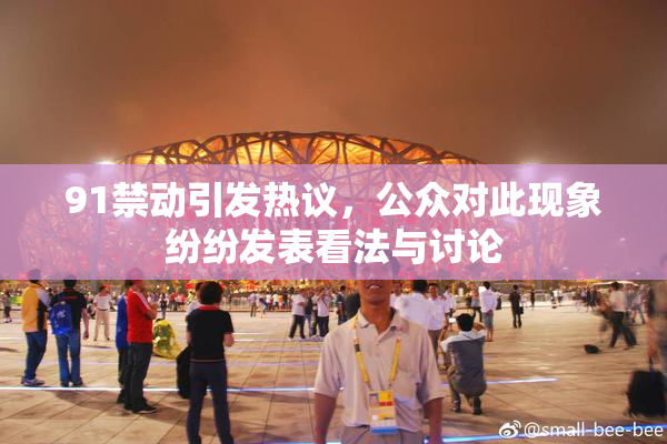 91禁动引发热议，公众对此现象纷纷发表看法与讨论