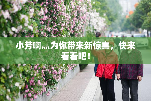 小芳啊灬为你带来新惊喜，快来看看吧！